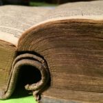 Všichni lidé bratry jsou… Všichni lidé bratry jsou…