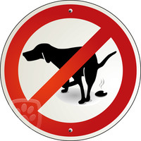 logo--server-haficicz