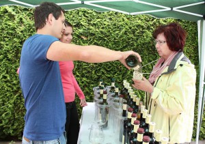 31. 6469391-vino-kost-otevrene-sklepy-nechory_galerie-980