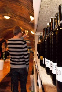 Nechorsky_kost_vin