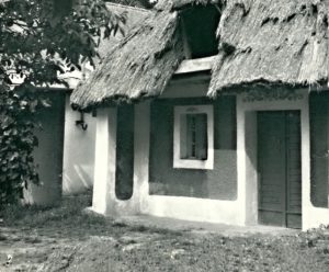 nechory_1