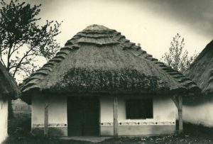 nechory_2
