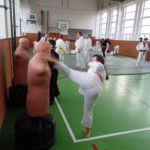 Jiu Jitsu