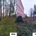 Z činnosti ZŠ 1/2023